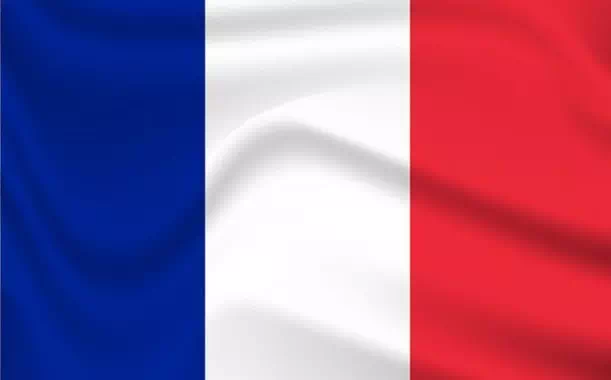 French Wave Flag